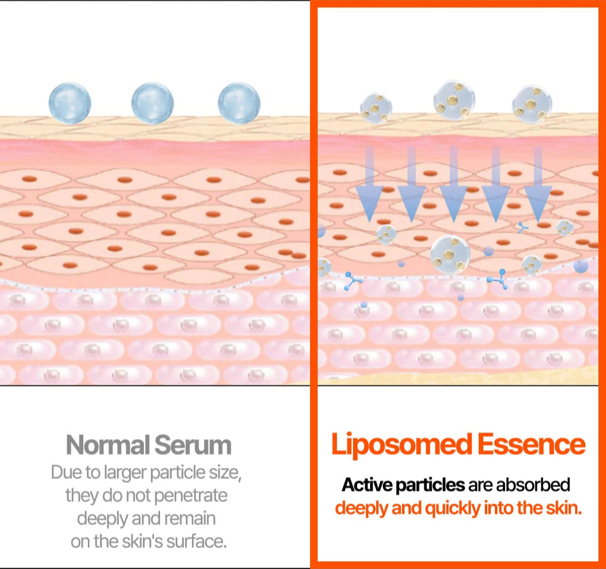 Vegan Collagen Super-Bouncy Serum