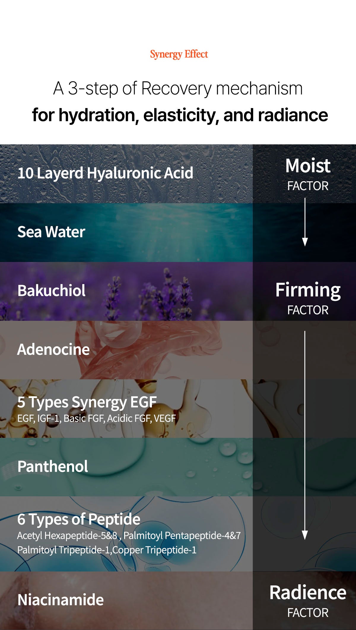 Vegan Collagen Super-Bouncy Serum